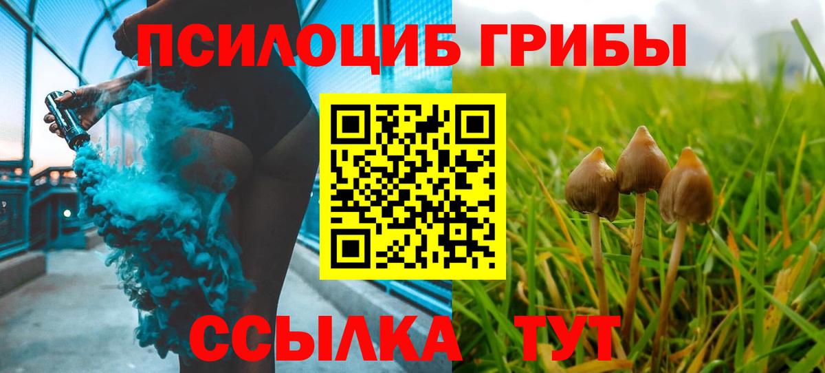 Галлюциногенные грибы Psilocybine cubensis Всеволожск